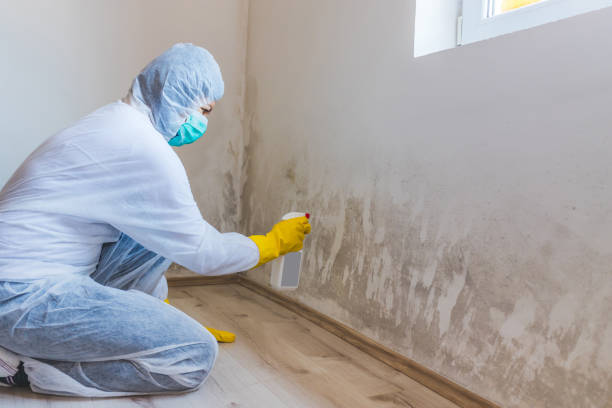 Hvac And Air Duct Mold Remediation inspection of HVAC system in Glenwood